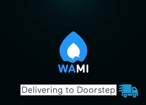 Liquid Animation Logo Reveal – Wami